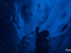 ‘3 Days in Iceland’ – To be deceived is a woman’s crime (Coming Soon) Loni Stark - 3 Days in Iceland - Short Film - Clinton Stark