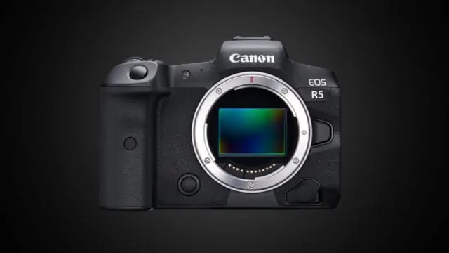 Canon EOS R5: a wildlife winner?