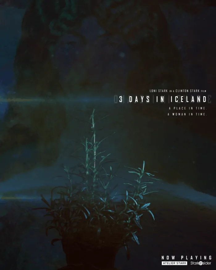 Iceland Film (2020) - Travel video, short film - Clinton and Loni Stark