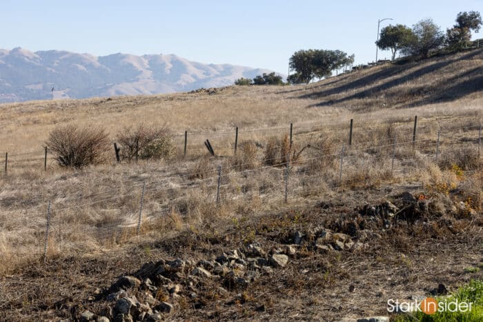 Canon EOS R5 - Sample photos, gallery - Review