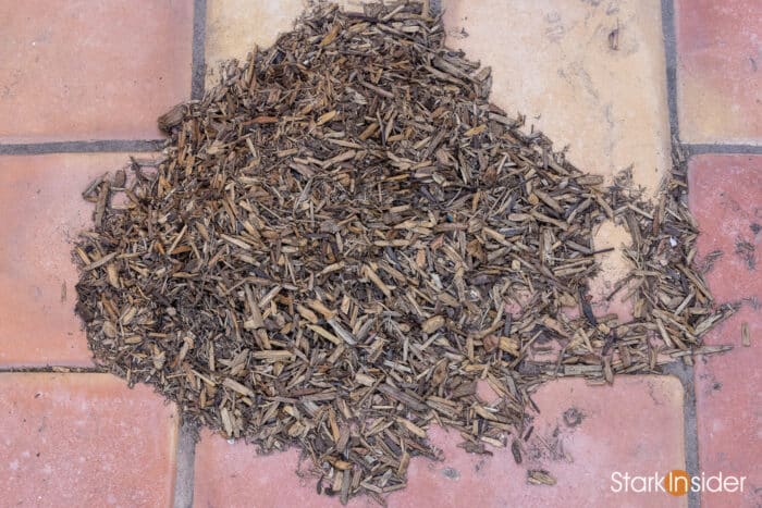 Canon EOS R5 - Sample photos, gallery - Review