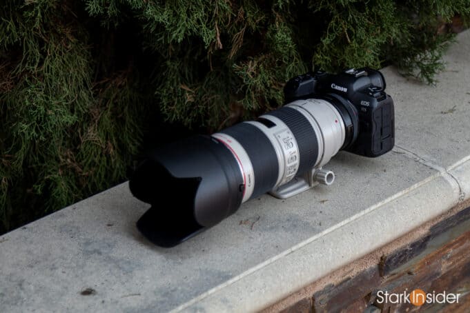 Canon EOS R5 with Canon 70-200mm telephoto lens and EF adapter