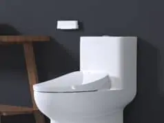 First Look: Bio Bidet Discovery DLS bidet seat