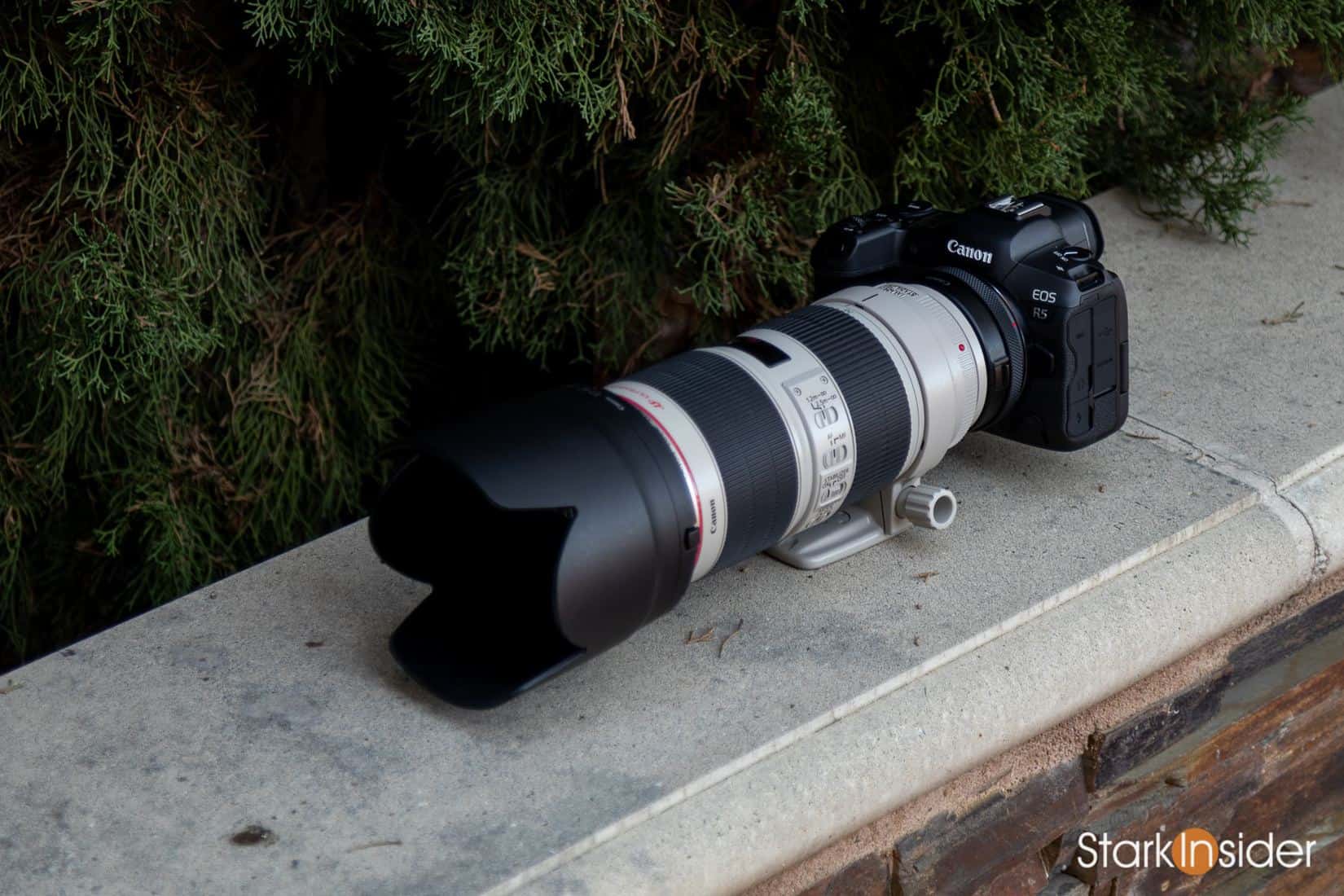 canon r5 sales