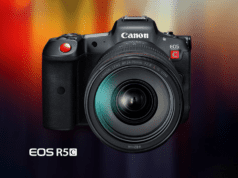 Get the Best of Stills and Video with the Canon EOS R5 C Camera
