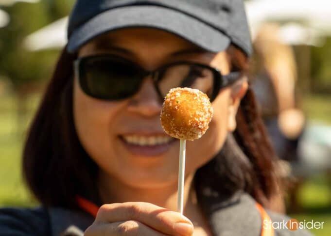 Taste of Sonoma wine country weekend video