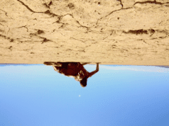 A throwback to the early days of the found-footage genre, Cinedigm and Bloody Disgusting are releasing The Outwaters in theaters