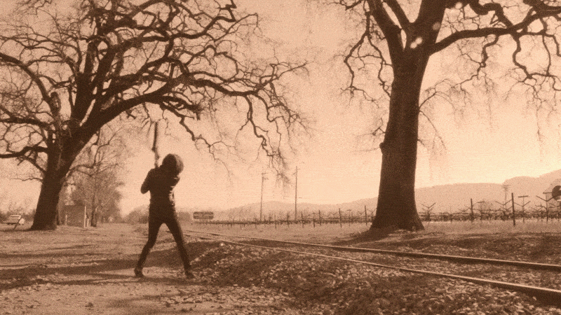 Loni Stark in Napa, California - Stark Insider rocks wine country