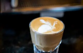 How to make a Cortado in a Gibraltar glass