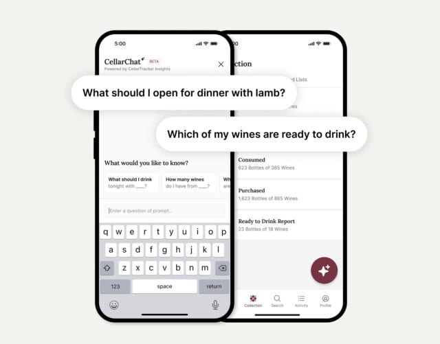 CellarChat AI wine-pairing interface on a mobile phone, showing prompts like ‘What should I open for dinner with lamb?’ and ‘Which of my wines are ready to drink?’