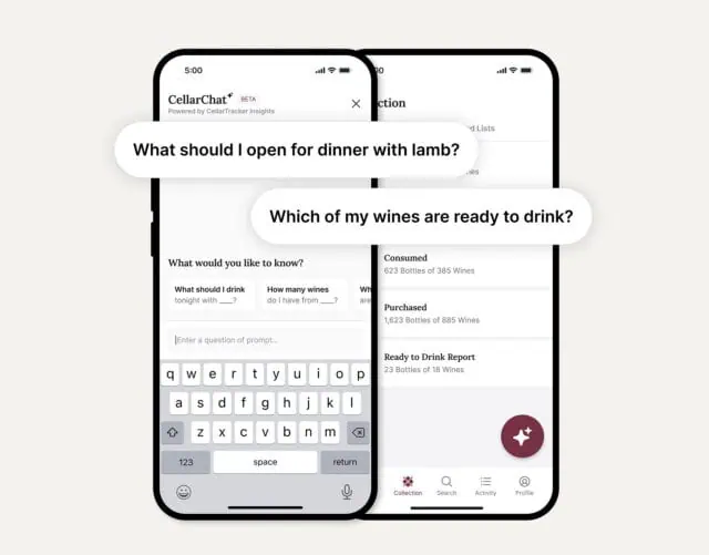 CellarChat AI wine-pairing interface on a mobile phone, showing prompts like ‘What should I open for dinner with lamb?’ and ‘Which of my wines are ready to drink?’