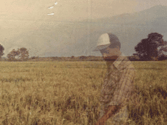 Echoes of Absence: Will They Ever Come Back? Esau Carabali standing in a rice field in Colombia, from the documentary ‘Will They Ever Come Back?’