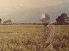 Esau Carabali standing in a rice field in Colombia, from the documentary ‘Will They Ever Come Back?’