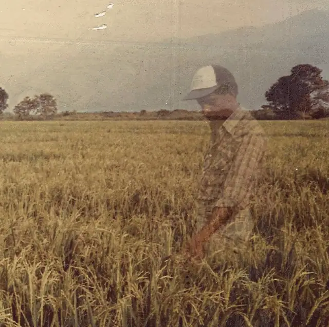 Esau Carabali standing in a rice field in Colombia, from the documentary ‘Will They Ever Come Back?’