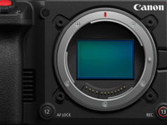 Close-up of the Canon EOS C50 cinema camera body showing its RF lens mount and full-frame CMOS sensor.