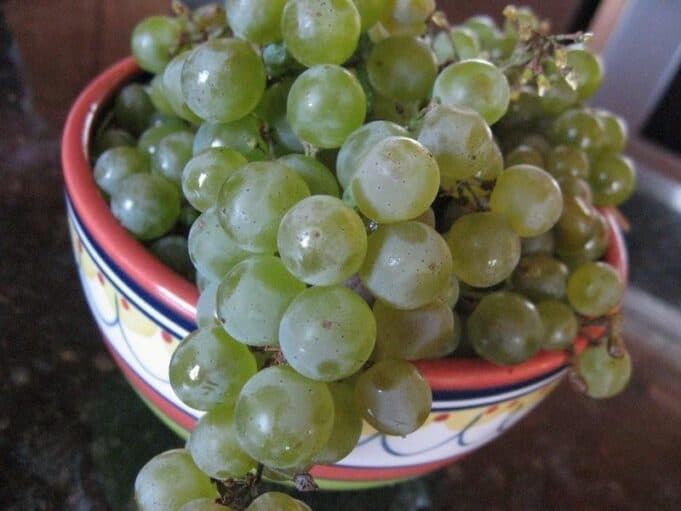 Green grapes in decorative bowl used to test Qwen3-VL text detection capabilities