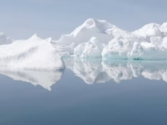 ‘MELT: The Memory of Ice’: A Haunting Arctic Elegy Abstract glacial ice formations in blue and white showing melting patterns from MELT documentary