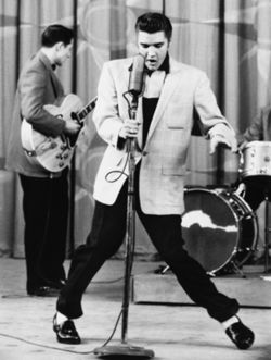 Elvis Presley The Hound Dog!