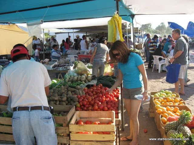 Sunday Morning at the Loreto Farmer's Market | Stark Insider