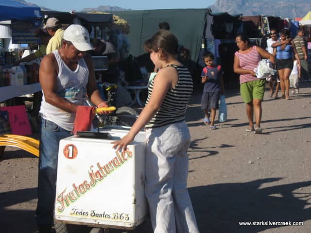 Loreto-BCS-Farmers-Market-5