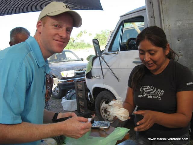 Loreto-BCS-Farmers-Market-20