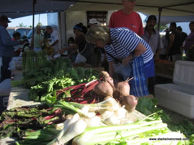 Loreto-BCS-Farmers-Market-13