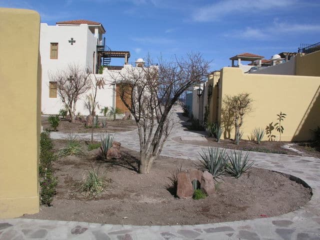 Loreto Bay Landscaping 01